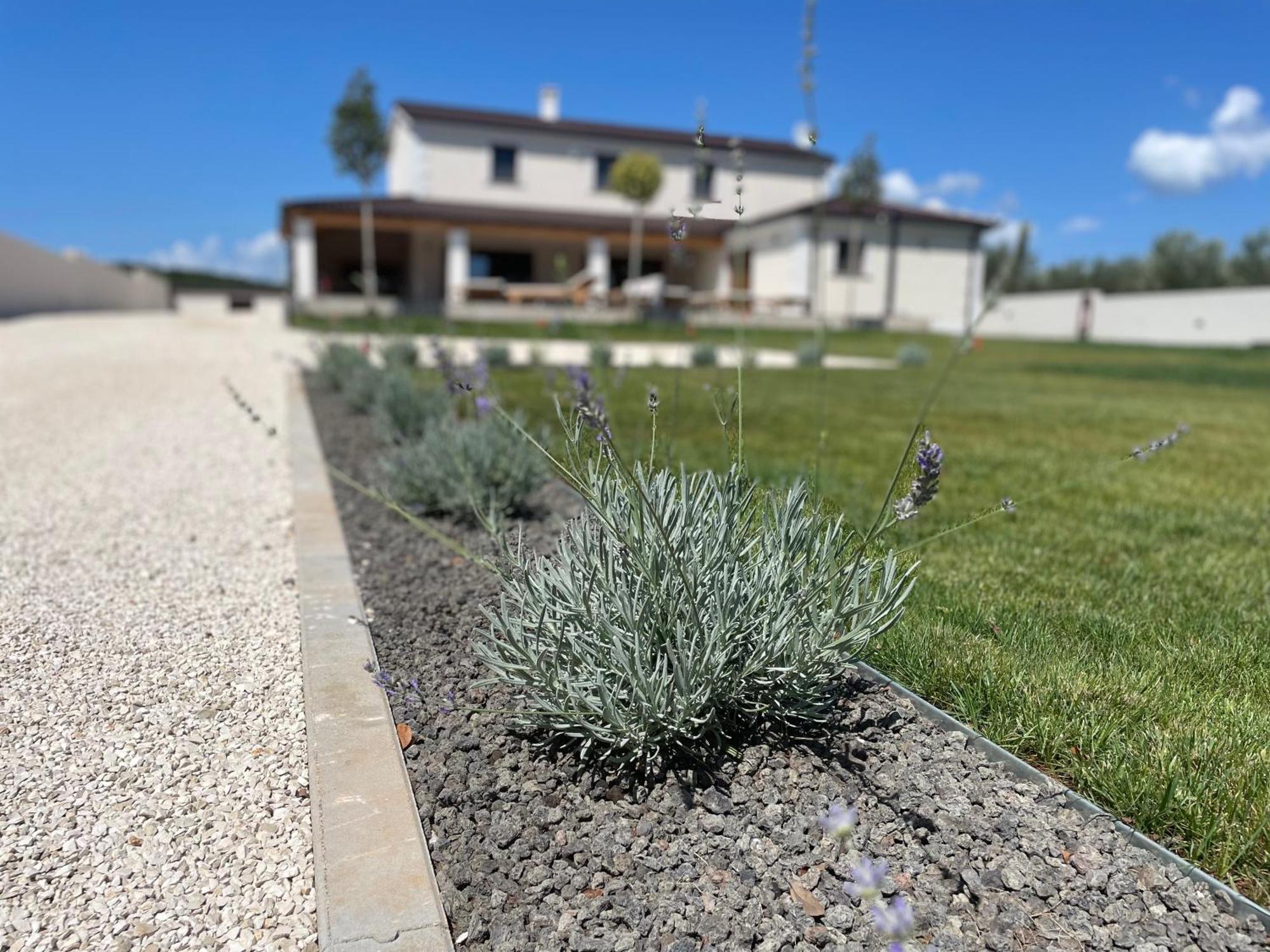 Villa Lydia Marčana Exteriör bild